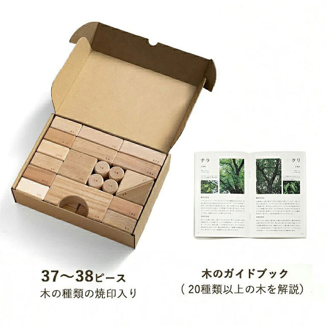 木のガイドブック付き