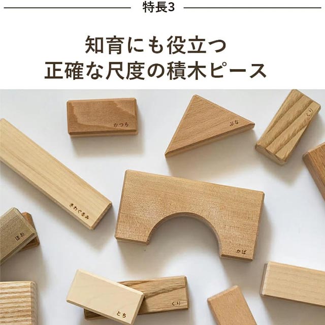 特徴3 正確な尺度の積木ピース